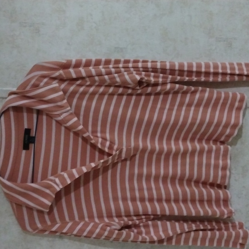 Like New J Crew Long Sleeved Cropped Polo